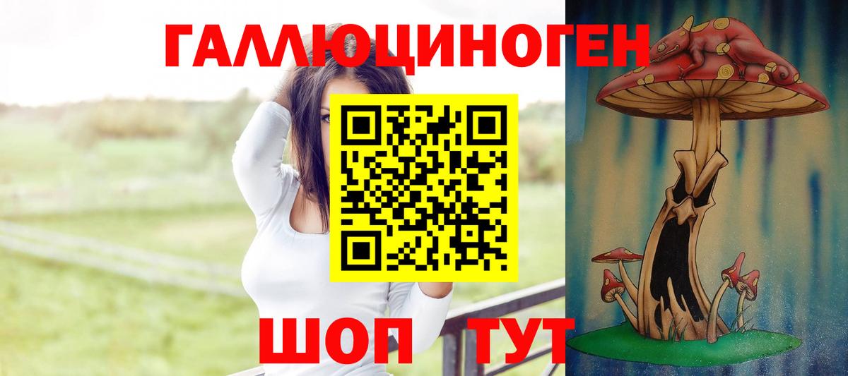 Галлюциногенные грибы GOLDEN TEACHER Великий Устюг